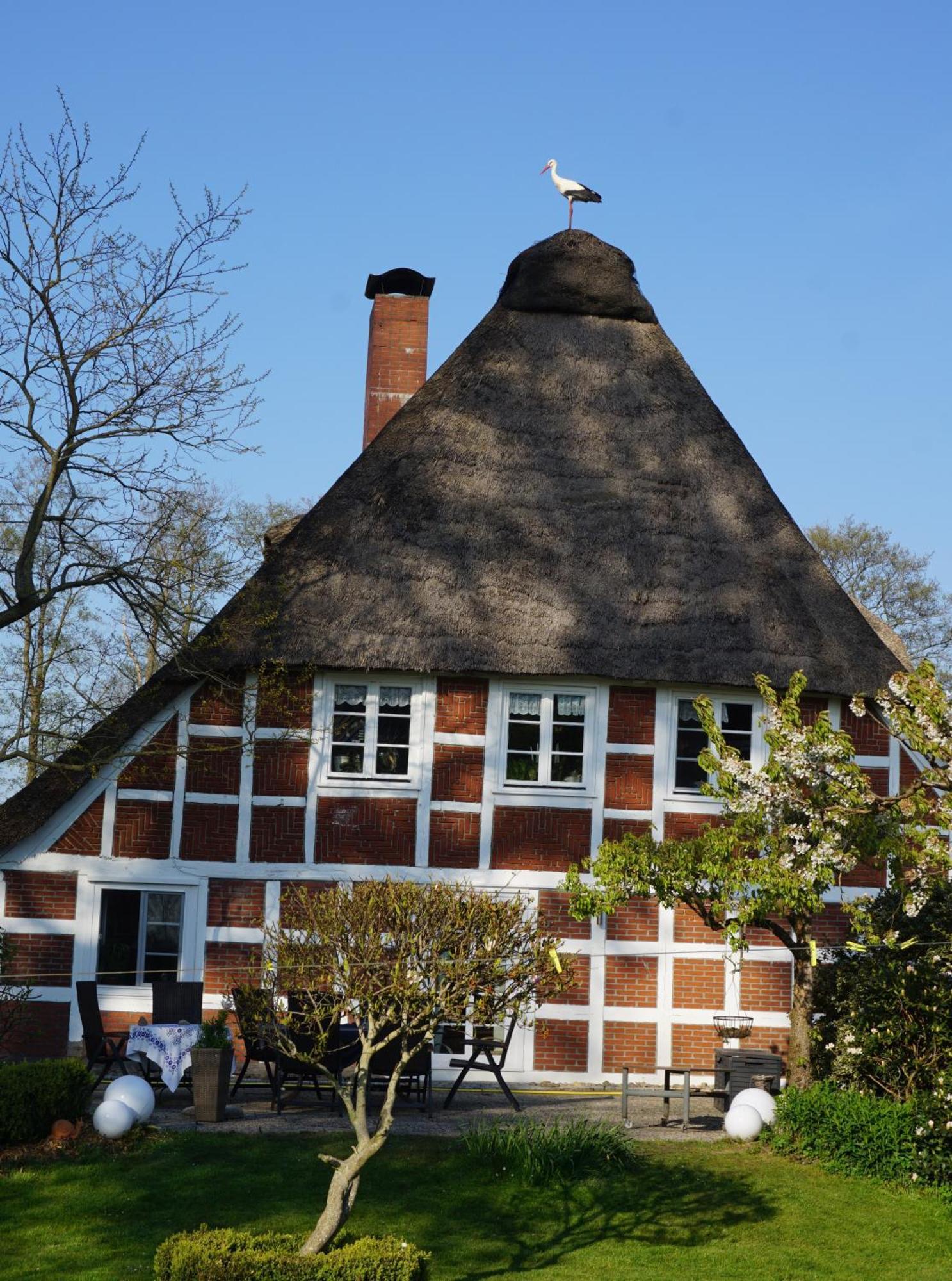 Altes Landhaus Oste, Klavier Appartement, 2 Zimmer Mit Kamin Hemmoor Esterno foto